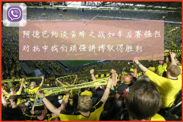 阿德巴约谈黄蜂之战如季后赛强烈对抗中我们顽强拼搏取得胜利