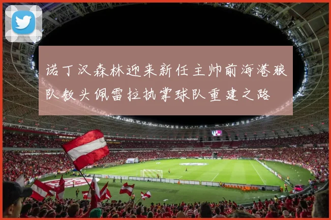 诺丁汉森林迎来新任主帅前海港狼队教头佩雷拉执掌球队重建之路