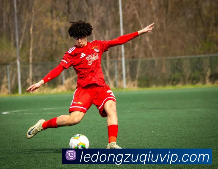 乐动体育APP 封面图