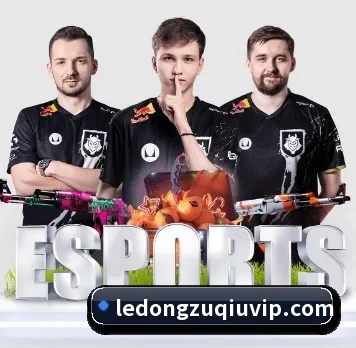 乐动体育围绕看球场景设计的核心服务 - 多运动项目内容板块 | LDSPORTS